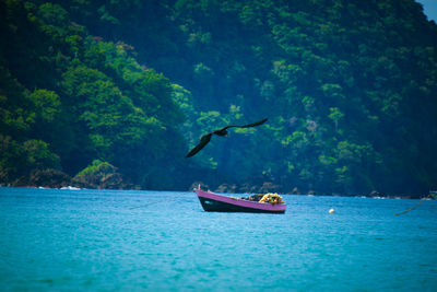 Man swimming in sea