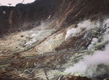 View of waterfall in forest