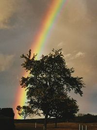 Low angle view of rainbow against sky during sunset