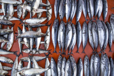 Close-up of fish for sale in market