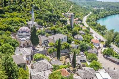 High angle view of trees and buildings