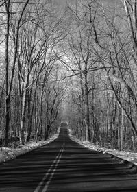 Road amidst bare trees in forest