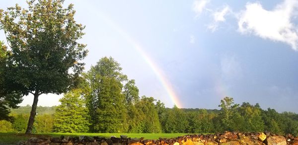 Scenic view of rainbow over trees on field against sky