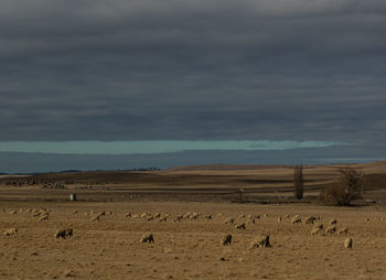 Scenic view of sand dunes against sky