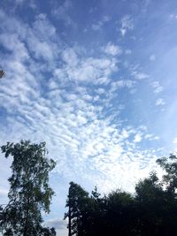 Low angle view of silhouette trees against sky