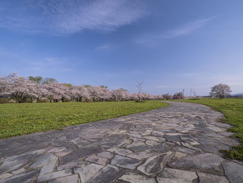 Footpath amidst field against blue sky