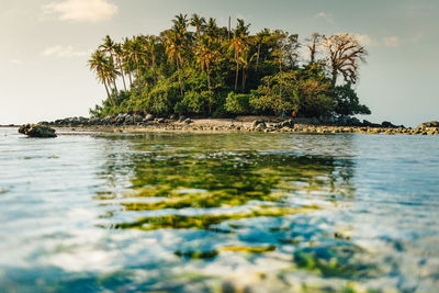 Tiny colorful island with transparent sea. koh pling, phuket thailand.