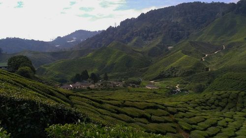 Scenic view of agricultural field against mountains and sky