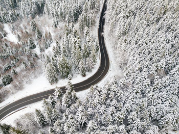 High angle view of road amidst trees