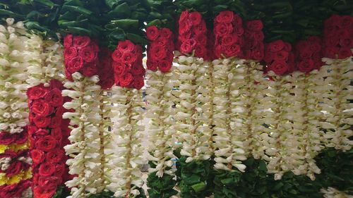 Close-up of flowers for sale in market