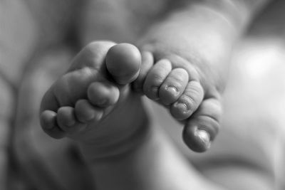 Close-up of baby feet