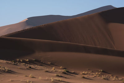 Namib national park, namibia