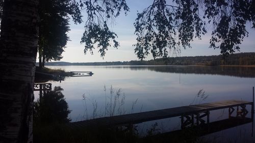 Reflection of trees in water