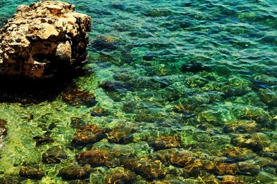 High angle view of rock formation in sea