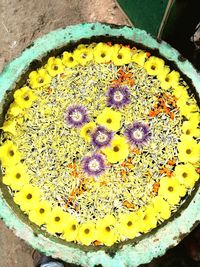 High angle view of yellow flowering plant