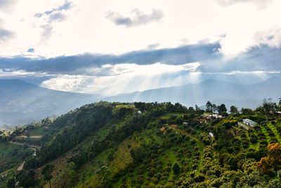 environment