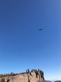 Low angle view of birds flying against clear blue sky