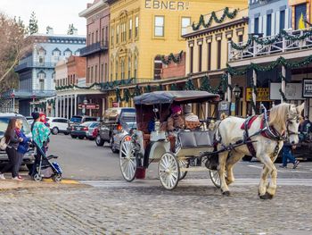 Horse cart on street in city