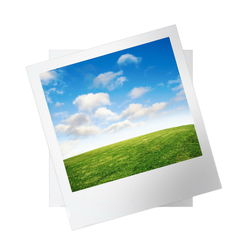 Low angle view of green grass against sky