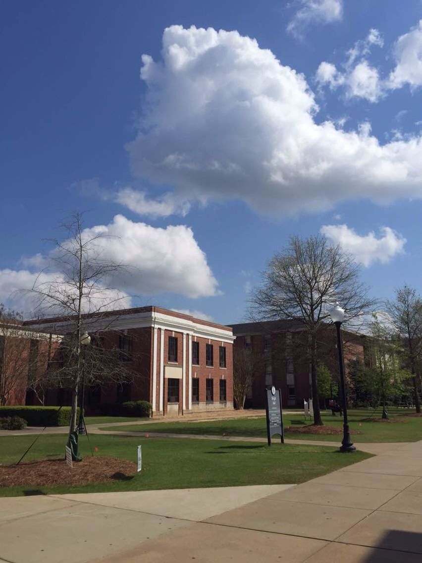 sky, architecture, built structure, building exterior, grass, tree, cloud - sky, cloud, lawn, sunlight, blue, day, cloudy, park - man made space, outdoors, men, bare tree, house, shadow