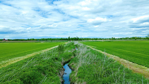 A cloudy blue sky hovers over a farm fields in rural wisconsin usa with a small stream