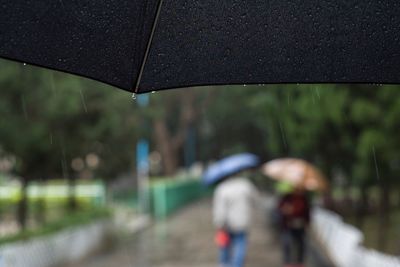 Low section of man walking on wet road