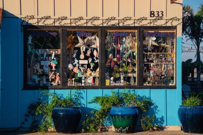 Potted plants at market