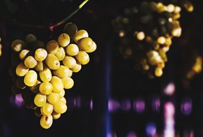 Close-up of grapes