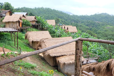 Trees and houses on field