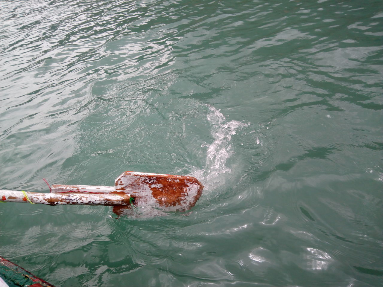 water, sea, day, high angle view, waterfront, no people, motion, nature, outdoors, nautical vessel, swimming, transportation, one animal, mode of transportation, animals in the wild, animal wildlife, animal, sport, marine, pollution