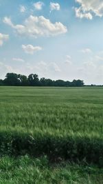 Scenic view of field against sky