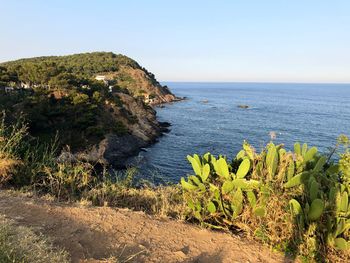 Scenic view of sea against clear sky