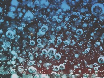 View of tree against sky