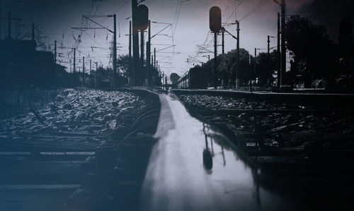 Surface level of railway tracks along trees