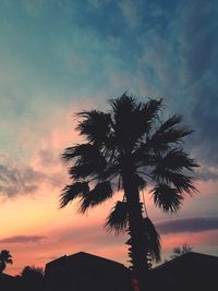 Low angle view of silhouette tree against sky at sunset