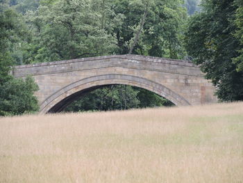 Arch bridge on field