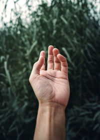 Close-up of hand  against blurred dark green grass  background