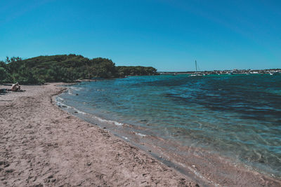 Scenic view of beach against clear blue sky