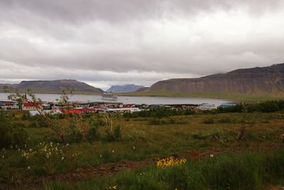 Scenic view of field against sky