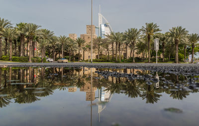 Reflection of trees and building in lake