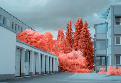 Bright infrared trees growing near lovely houses on quiet suburban street in linz, austria