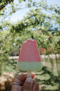 Close-up of hand holding ice cream cone against trees