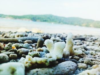 Close-up of stones on beach