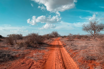 Railroad tracks amidst trees on field against sky