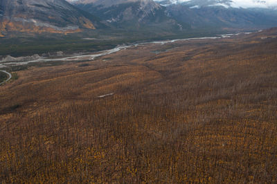 Aerial view of a large mountain full of trees in the canadian rockies, jasper.
