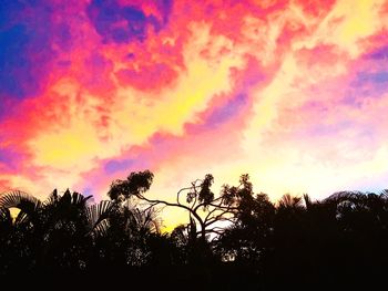 Low angle view of silhouette trees against sky at sunset