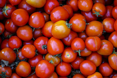 Full frame shot of tomatoes for sale