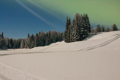 Snow covered land and trees against sky at night