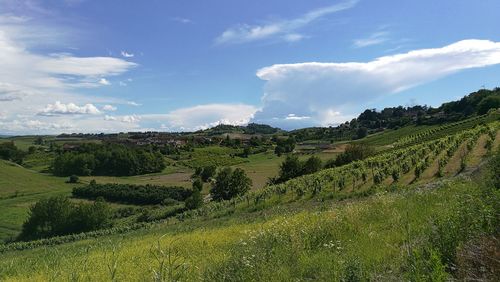 Scenic view of field against cloudy sky