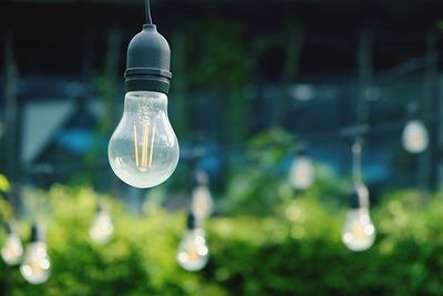 Close-up of light bulb